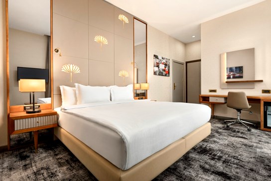 Tryp by Wyndham İstanbul Topkapı Standart Çift Kişilik Oda Resimleri