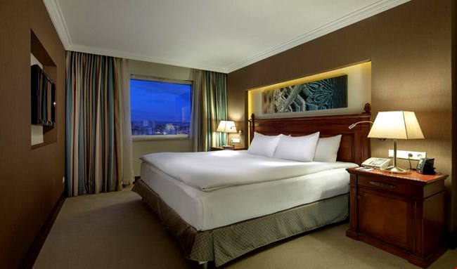 Twin Business Guest Room