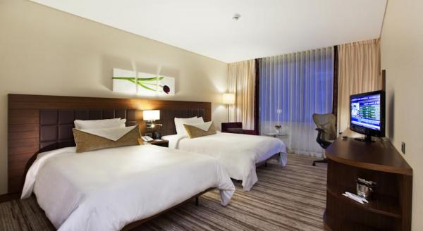 Hilton Garden Inn Konya Standart Oda Resimleri